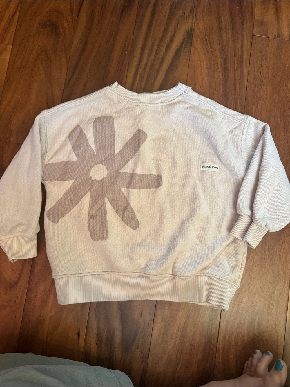 Zara Light lavender Graphic Sweatshirt with Daisy Motif